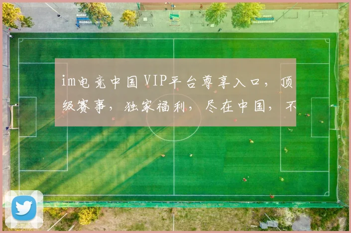 im电竞中国 VIP平台尊享入口，顶级赛事，独家福利，尽在中国，不容错过，三重惊喜，等你来战