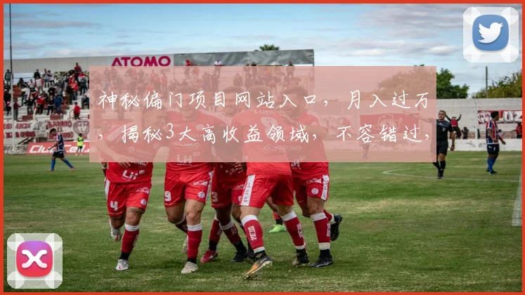 神秘偏门项目网站入口，月入过万，揭秘3大高收益领域，不容错过，赶紧来
